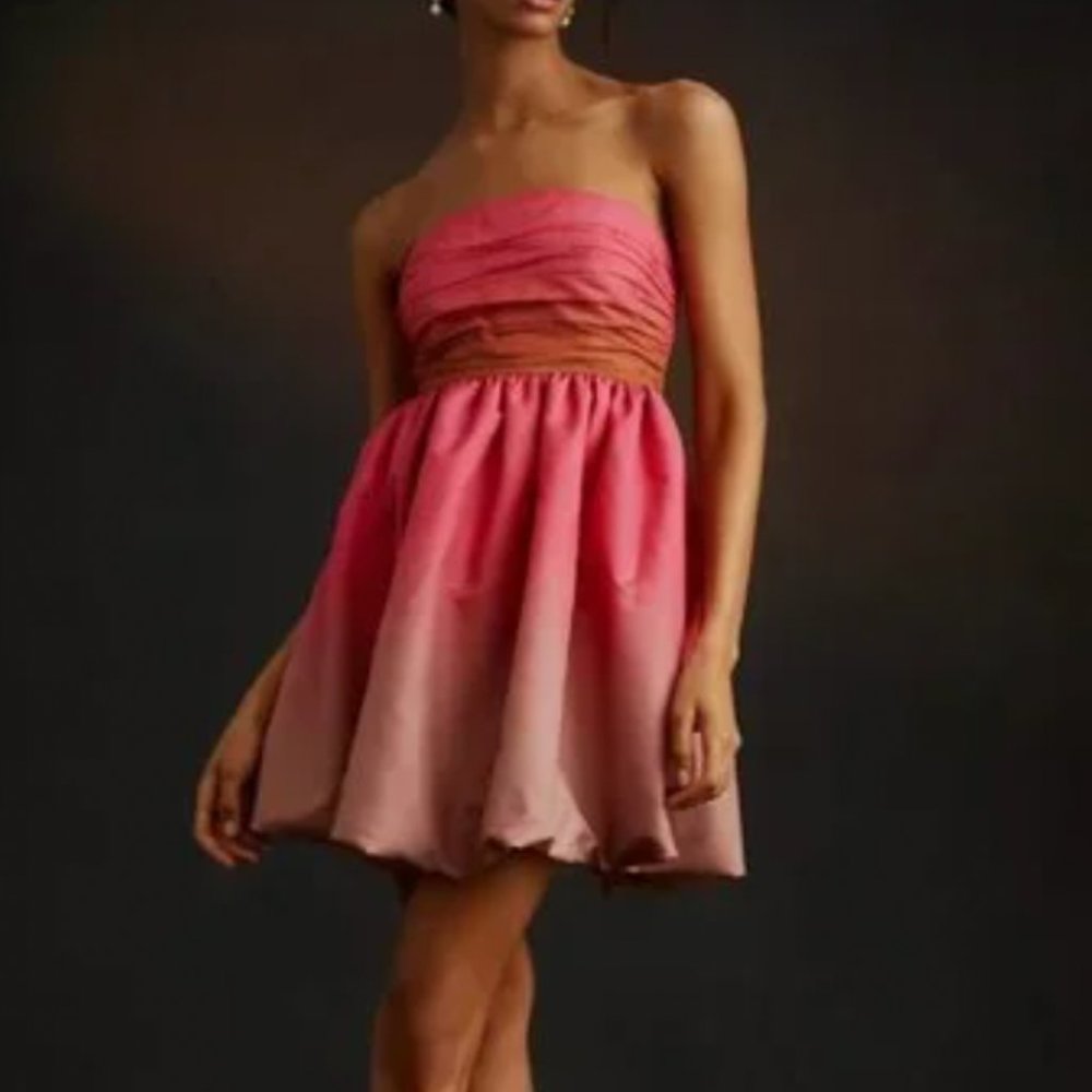 Anthropology Vineet Bahl Strapless Dress